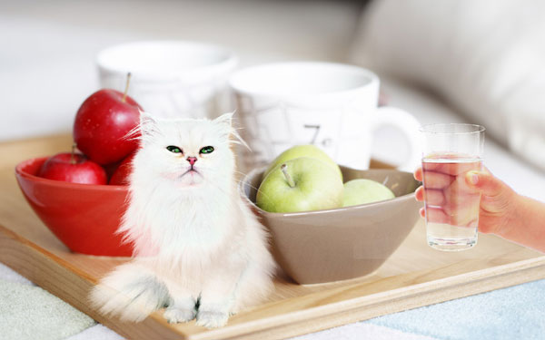 vximage����ϳ�ͼ